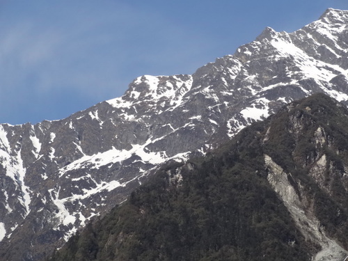 vikramaditya411's profile picture. 