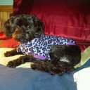 Gretchen Shaw - @gmrshaw - Twitter