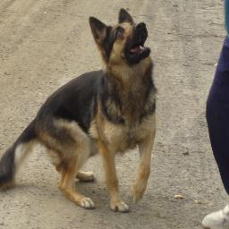 trixklej's profile picture. 