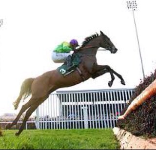 Free daily tipping service. Specialising in Horse Racing, Football and Golf.