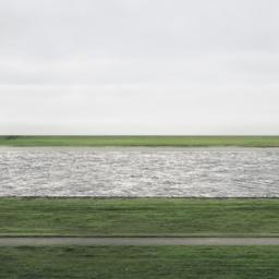 MartinBgd's profile picture. 