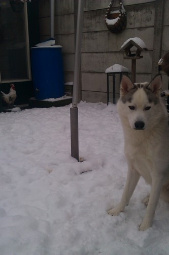 kevinverhagen1's profile picture. 