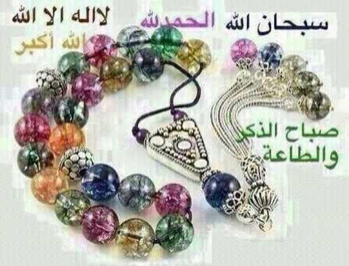 sabooha1955's profile picture. 