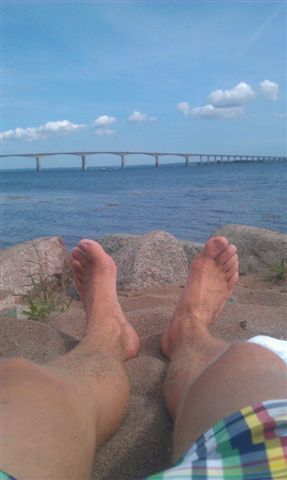 supegu's profile picture. 