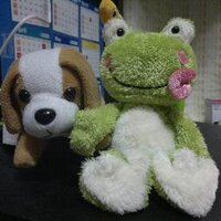 IlGentEAcutO.o (@ilgenteacuto) 's Twitter Profile