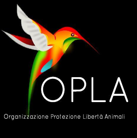 OPLA- Organizzazione Protezione Libertà Animali http://t.co/ZsbkYvSi