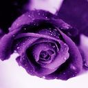 Kate Crowe - @kcrowebar - Twitter