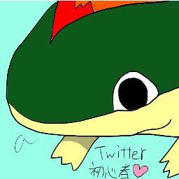 No.156　かざんポケモン　マグマラシ
こころを　おおう　よろいは　ぜったいに　おれたりしない。どんな　disなどの　こうげきも　へいきだ。