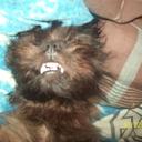 Brad Spence - @CBSpence93 - Twitter