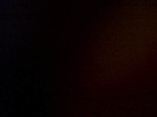 DaisyyyRicooo's profile picture. 