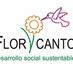 Fundación Florycanto (@fflorycanto) Twitter profile photo