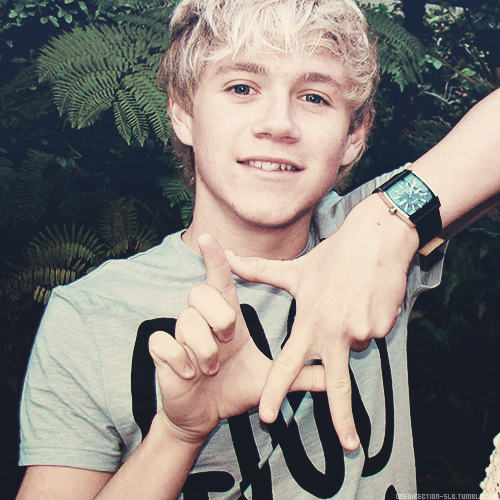 I'm Niall and I'm Irish!