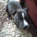 Sally Johnstone - @SallyJohnstone4 - Twitter