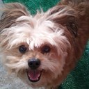 BOB - @bob_kathy - Twitter