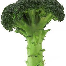 BBC2SHOW_GROW's profile picture. BBC 2 TV SHOW looking 4 ppl who can grow their own fruit & veg . Email grow@silverriver.tv 4 info or call 0207 907 3433