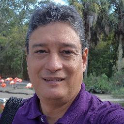 CONSULTOR EN SISTEMAS DE INFORMACION