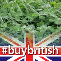 Horizon Seeds (@horizonseeds) 's Twitter Profile
