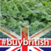 Horizon Seeds (@horizonseeds) Twitter profile photo Horizon Seeds (@horizonseeds) Twitter profile photo