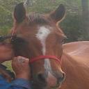 Karen Rye - @RyeRanch - Twitter