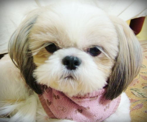 wanna to learn english & meet to friends all over the world.