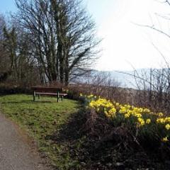 Gallwwwanders's profile picture. Galloway Wee Wildlife Wanders, SW Scotland - autumn/winter here in glorious #dumfriesandgalloway😐