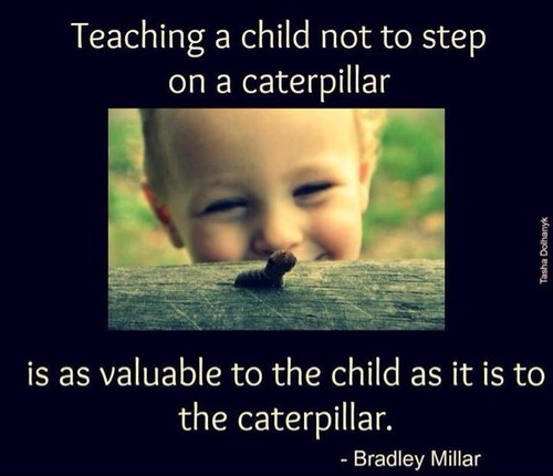 reneefaron's profile picture. 