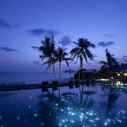 Chikokomi's profile picture. El pasado no existe, el futuro tampoco, así que tú verás .....