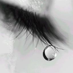 Frases de amor, amizade, conselhos e entre outras,vc vai adorar...sz..https://t.co/uQktXdsD..