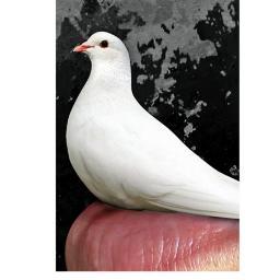 MoakleyChairUMB's profile picture. For insight on issues of peace, reconciliation, peer-to-peer engagement in world hot spots:  http://t.co/1JnRjMZO1p