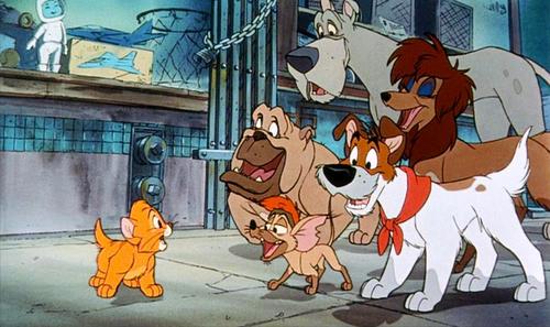 mollyindia1's profile picture. 