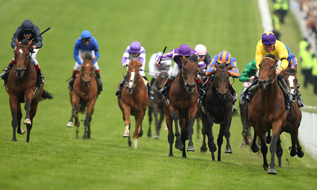At the horseyman we advise on a daily basis with our expert racing knowledge. Email  thehorseyman@hotmail.co.uk for info