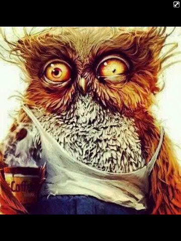 Cigkofteyim's profile picture. 