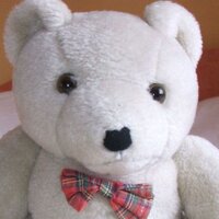 Pam Whitney (@muse4me) 's Twitter Profile