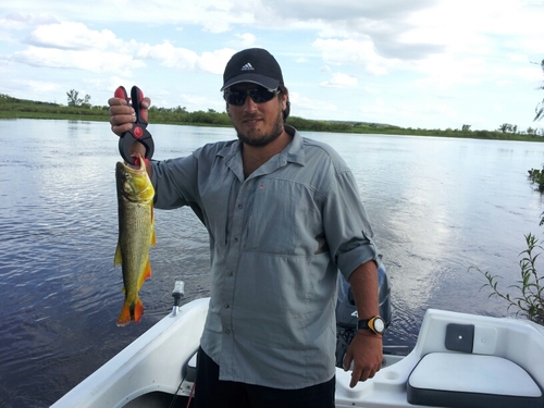 JoaquinRegulo's profile picture. 