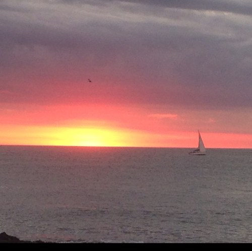 sjcvasconcelos's profile picture. Desde 1970 segmento imobiliário