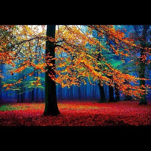 Epic fantasy novelist enjoying the chaos of creating a new world. 

Noticer of life. Lover of nature, space, archaeology, and the Oxford comma. 

#amwriting