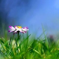 sidoroff08's profile picture. Ключи от BMW подходят ко всем поясам верности.