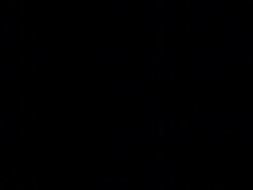 sweetcakes_911's profile picture. 