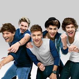 Hello this is the twitter of the directioners. For all we love:@NiallOfficial-@Real_Liam_Payne - @Harry_Styles -@Louis_Tomlinson - @zaynmalik  ♥