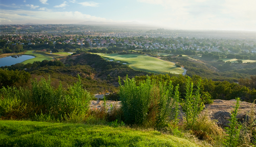 nsd024's profile picture. 