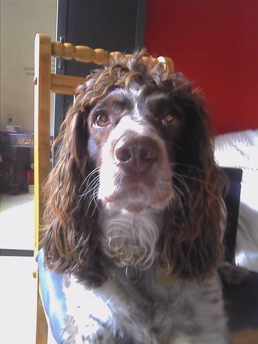 vikkilee55's profile picture. 