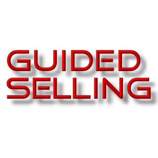 Research and development of Guided Selling technology for retailers and manufacturers.