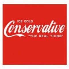 Real reform and real change is the future for the Conservative agenda in American politics. Reform conservatives are neither extremists nor RINOs.