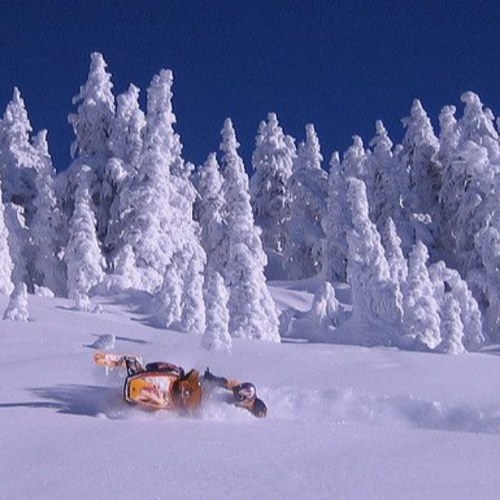 All about the Sled Life. Simply follow if you ride or love the sport. @SnocrossProbs