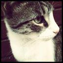 Gati Gary Valencia Q - @GatiGaryValenci - Twitter