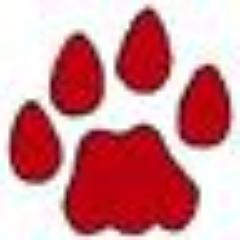 BellflowerDol3's profile picture. Updates from my 3rd grade classroom at Bellflower Elementary