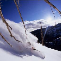 Hiver : Location de SKIS, vente d'accessoires. Été : Location Vélos (VTT, DH, Route...) vente accessoires montagnes, peche....