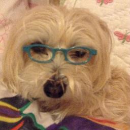 Champion for schools and student-centered learning.  Working on initiatives to re-imagine schools.  At least my dog thinks I am pretty awesome.