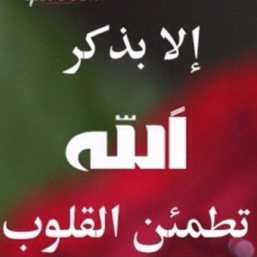هدفي في الحياه أن أكون سبب في دخول أمي وأبي الجنه ياربي حقق أُمنيتي