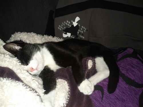 xabami's profile picture. 